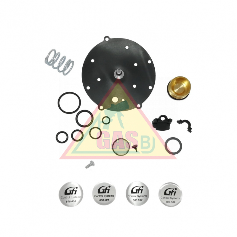 Opravná sada reduktora AG SGI H,  SN 6662713