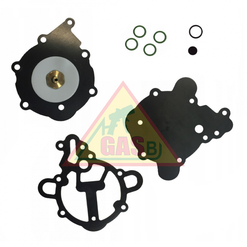 Opravná sada reduktora TOMASETTO AT09 ALASKA - Originál